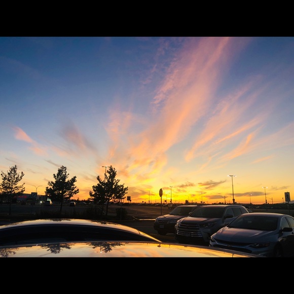 Meet your Posher, Tessa - Picture 1 of 1